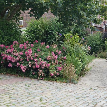 La Petite Maison Sart lez Walhain Eksteriør billede
