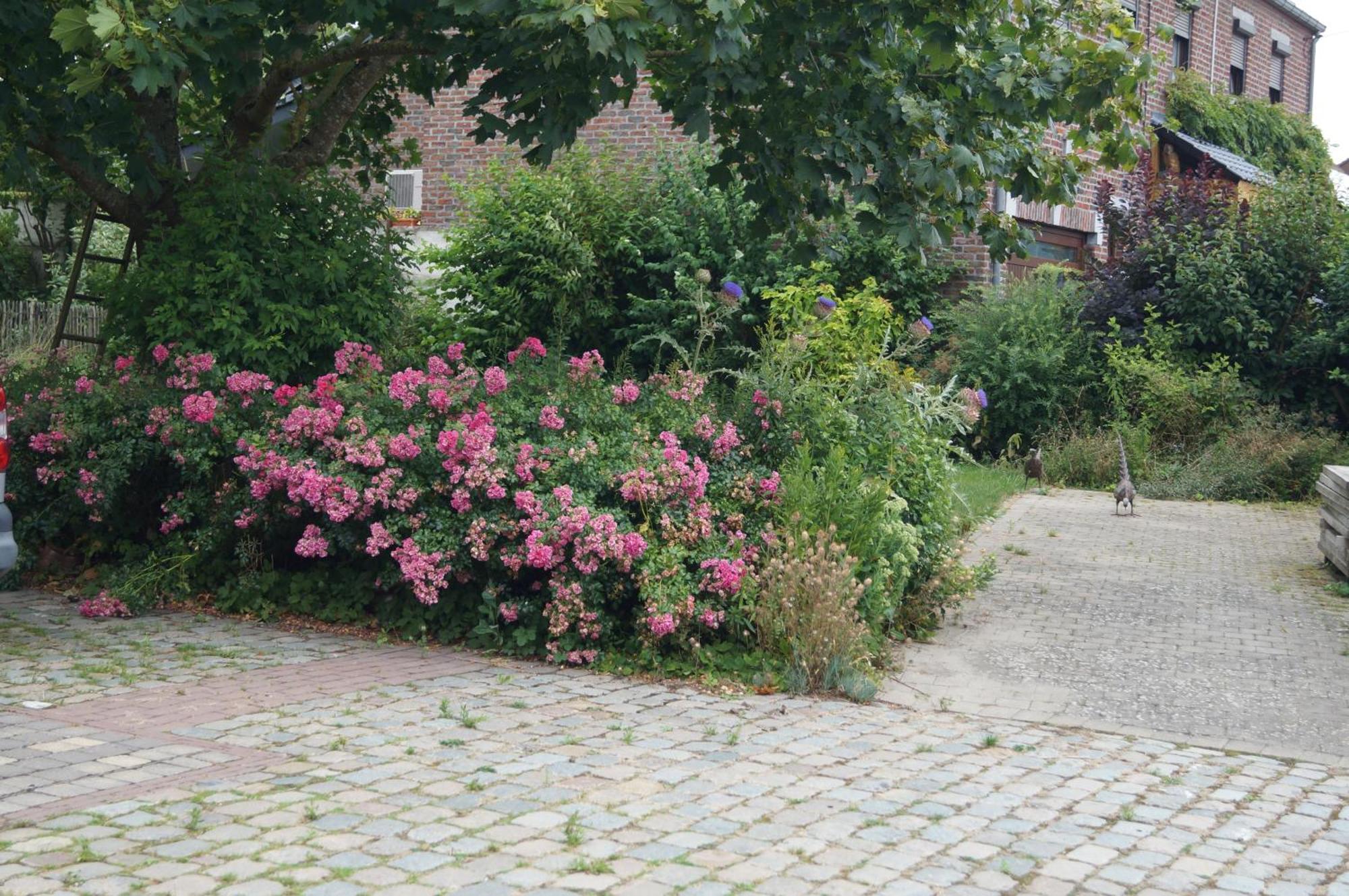 La Petite Maison Sart lez Walhain Eksteriør billede